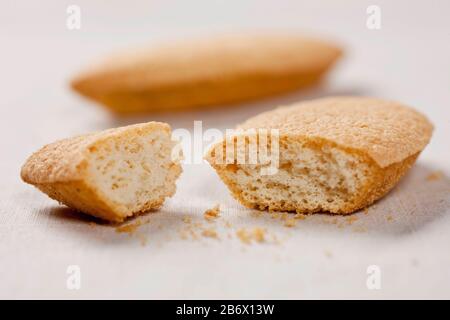 Budgerigar, Budgie (Melopsittacus undulatus). Biscuits pour perruches. Allemagne Banque D'Images