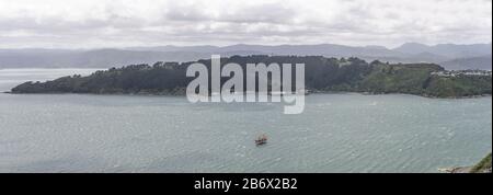 Wellington, NOUVELLE-ZÉLANDE - 13 novembre 2019 : paysage urbain aérien avec vue panoramique depuis la colline du mont Victoria des pistes vertes du promontoire Maupuy sur Evans Banque D'Images