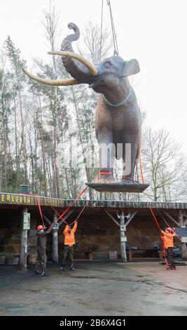 12 mars 2020, Basse-Saxe, Rehburg-Loccum: Les aides utilisent une grue pour soulever la réplique d'un éléphant de forêt pendant les préparatifs de l'exposition "Géants de l'âge de glace" dans le parc des dinosaures de Münchehagen. Photo : Julian Stratenschulte/Dpa Banque D'Images