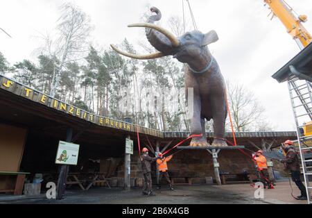 12 mars 2020, Basse-Saxe, Rehburg-Loccum: Les aides utilisent une grue pour soulever la réplique d'un éléphant de forêt pendant les préparatifs de l'exposition "Géants de l'âge de glace" dans le parc des dinosaures de Münchehagen. Photo : Julian Stratenschulte/Dpa Banque D'Images