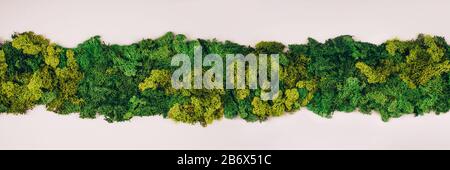 Bannière avec mousse vert foncé avec espace de copie sur fond gris. Concept zéro déchet. Style plat. Banque D'Images
