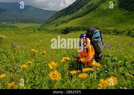 Femme avec sac à dos dans la vallée de la floraison. Les fleurs jaunes sont en premier plan. La femme est vêtue de vêtements brillants. Banque D'Images