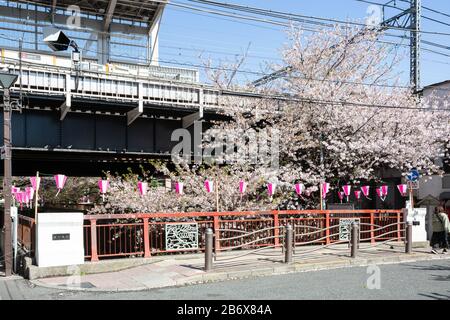 Lanternes roses Celebtrate cerisier fleuris saison à Nakameguro, Tokyo, Japon Banque D'Images