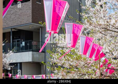 Lanternes roses Celebtrate cerisier fleuris saison à Nakameguro, Tokyo, Japon Banque D'Images