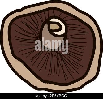 Dessin de champignons, illustration, vecteur sur fond blanc. Illustration de Vecteur