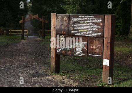 Vue générale sur l'arboretum Blackwater dans la Nouvelle forêt, Hampshire, Royaume-Uni. Banque D'Images