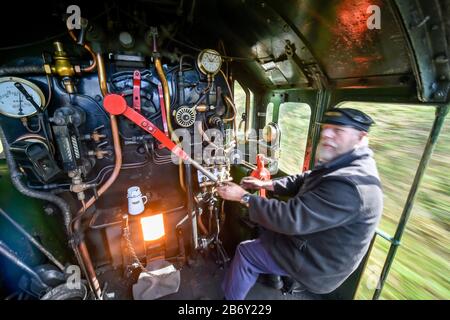 La pression de vapeur est ajustée par l'équipage de la semelle à bord de la locomotive à vapeur Foremarke Hall Great Western Railway Modifield Hall Classe 7903, construite en 1949, qui transporte des passagers de la gare de Toddington aux courses de Cheltenham pendant le festival. Banque D'Images