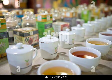 Sri Lanka, Province Du Sud, Sud Du Sri Lanka, Sud Sri Lanka, Sud Sri Lanka, Handunugoda, Usine De Thé, Teefabrik, Teefabrik, Tea Factory, Olong Tea Banque D'Images