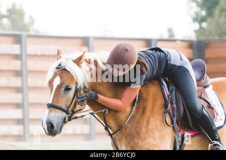 Femme jockey caressant doucement un cheval sur sa tête Banque D'Images