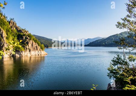 L'arbre couvrait la montagne de Godeanu dans un grand lac avec une grande forêt et des montagnes en arrière-plan sur un ciel clair à l'intérieur du barrage de Vidraru Banque D'Images