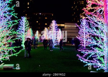 L'exposition Sasha Trees à Winter Lights 2020 à Canary Wharf à Londres, au Royaume-Uni Banque D'Images