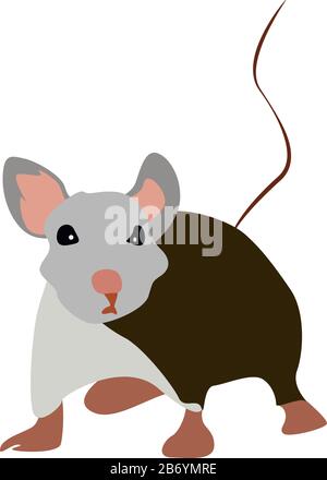 Rat long, illustration, vecteur sur fond blanc. Illustration de Vecteur