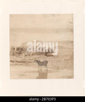 Koeien in een weiland Vaches dans un pâturage type d'objet: Dessin Numéro d'objet: RP-T-1942-99 Inscriptions / marques: Signature, en bas à droite: 'William Maris' Fabricant : artiste: William mari Date: 1854 - 1910 Caractéristiques physiques: Crayon, pinceau en marron et gris: Crayon technique: Pinceau Dimensions: H 311 mm × l 307 mm Objet : vache Banque D'Images
