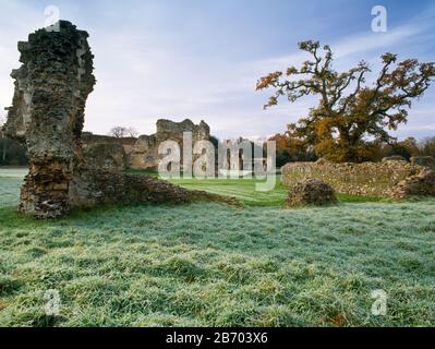 Abbaye De Waverley, Farnham, Angleterre. En regardant à travers l'église médiévale ruinée à la gamme de cellarer en arrière-plan Banque D'Images