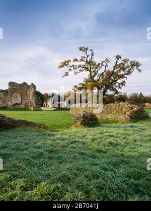 Abbaye De Waverley, Farnham, Angleterre. En regardant à travers l'église médiévale ruinée à la gamme de cellarer en arrière-plan Banque D'Images