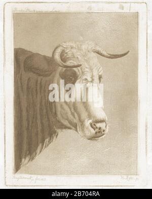 Koekop Koekop. Avec entrée dans la marge supérieure: Première planète tombe et Lavis. Fabricant : printmaker: Diederik Jan Singendonck (propriété cotée) à la peinture de Johann Heinrich Roos (propriété cotée) Lieu de fabrication: Utrecht Dating: 1813 Caractéristiques physiques: Gravure, aquatint et lavismanier brun pressé matériau: Papier technique: Gravure / aqua teinte / aqua / pression en taille brune: Bord de la plaque: H × 114 mm b 88 mm Objet : vache Banque D'Images