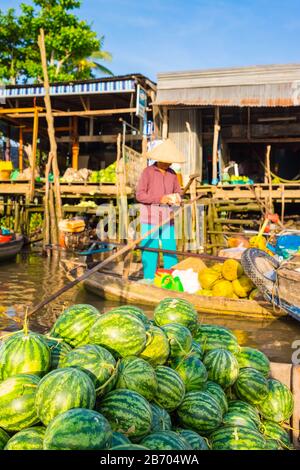 Un homme compte de l'argent près d'un bateau rempli de pastèques, marché flottant de Phong Dien, district de Phong Dien, Can Tho, Delta du Mékong, Vietnam Banque D'Images