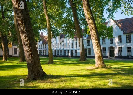 Belgique, Flandre occidentale (Vlaanderen), Bruges (Brugge). Le Béguinage (Begijnhof) de Bruges. Banque D'Images