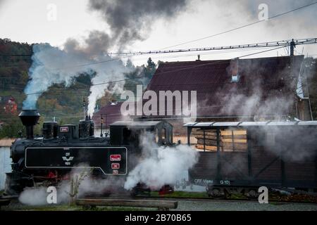 VISEUS DE SUS, ROUMANIE - 10 OCTOBRE 2014: Mocanita, une locomotive à vapeur alimentée par un feu de bois, a Viseu de Sus comme point de départ et fonctionne pour abo Banque D'Images