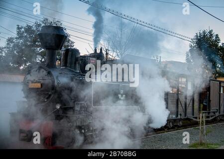 VISEUS DE SUS, ROUMANIE - 10 OCTOBRE 2014: Mocanita, une locomotive à vapeur alimentée par un feu de bois, a Viseu de Sus comme point de départ et fonctionne pour abo Banque D'Images