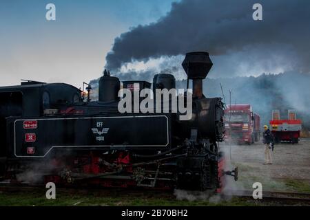 VISEUS DE SUS, ROUMANIE - 10 OCTOBRE 2014: Mocanita, une locomotive à vapeur alimentée par un feu de bois, a Viseu de Sus comme point de départ et fonctionne pour abo Banque D'Images