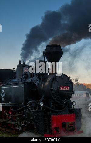 VISEUS DE SUS, ROUMANIE - 10 OCTOBRE 2014: Mocanita, une locomotive à vapeur alimentée par un feu de bois, a Viseu de Sus comme point de départ et fonctionne pour abo Banque D'Images