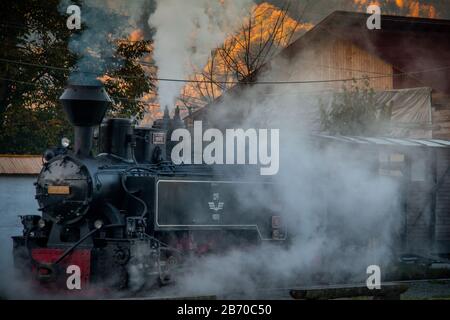 VISEUS DE SUS, ROUMANIE - 10 OCTOBRE 2014: Mocanita, une locomotive à vapeur alimentée par un feu de bois, a Viseu de Sus comme point de départ et fonctionne pour abo Banque D'Images