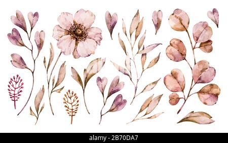 Fleurs anemone et feuilles peintes à la main ensemble isolé sur fond blanc. Collection d'illustrations peintes à la main de style boho à motif fleuri vectoriel Illustration de Vecteur