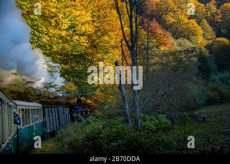 VISEUS DE SUS, ROUMANIE - 10 OCTOBRE 2014: Mocanita, une locomotive à vapeur alimentée par un feu de bois, a Viseu de Sus comme point de départ et fonctionne pour abo Banque D'Images