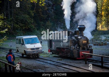 VISEUS DE SUS, ROUMANIE - 10 OCTOBRE 2014: Mocanita, une locomotive à vapeur alimentée par un feu de bois, a Viseu de Sus comme point de départ et fonctionne pour abo Banque D'Images