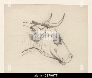 Kop van een rund, naar rechts Chef d'une vache, au bon type d'objet: Dessin Numéro d'objet: RP-T 1988-86 Fabricant : artiste: Dirk Arnoldus Tavenraat Dating: 1855 - 1930 Caractéristiques physiques: Stylo en marron, crayon, encre matériau: Crayon papier technique: Stylo Dimensions: H 241 mm × W 287 mm Objet: Bovins Banque D'Images