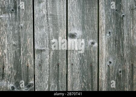 Vieux parquet gris, texture de panneaux, lignes verticales sur la clôture en bois de grunge. Menuiserie en bois dur Banque D'Images