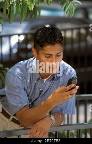 Austin, Texas États-Unis: Étudiant hispanique d'université utilise le téléphone cellulaire à l'extérieur. M. ©Bob Daemmrich Banque D'Images