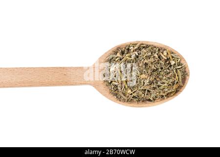 Herbe de wormwood ou dans l'herbe d'Absinthii herba latine dans la cuillère en bois isolée sur fond blanc. Herbes médicinales de guérison. Médecine de fines herbes. Médicament alternatif Banque D'Images