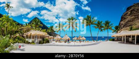 Plage de sucre Sainte-Lucie , une plage tropicale blanche publique avec palmiers et chaises de plage de luxe sur la plage de l'île Sainte-Lucie Caraïbes Banque D'Images