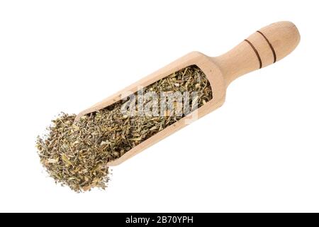 Herbe de wormwood ou dans l'herbe d'Absinthii herba latine dans la pelle en bois isolée sur fond blanc. Herbes médicinales de guérison. Médecine de fines herbes. Alternative med Banque D'Images