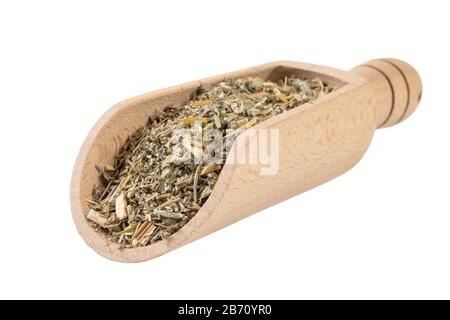 Herbe de wormwood ou dans l'herbe d'Absinthii herba latine dans la pelle en bois isolée sur fond blanc. Herbes médicinales de guérison. Médecine de fines herbes. Alternative med Banque D'Images