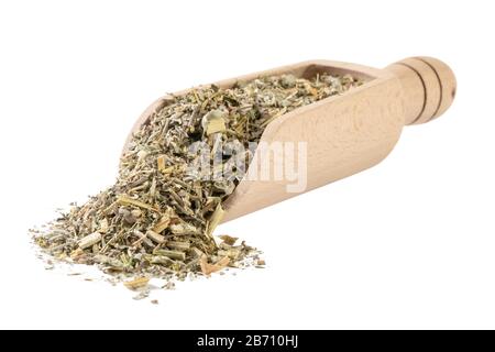 Herbe de wormwood ou dans l'herbe d'Absinthii herba latine dans la pelle en bois isolée sur fond blanc. Herbes médicinales de guérison. Médecine de fines herbes. Alternative med Banque D'Images