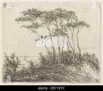 Kustlandschap met groep bomen op duin Paysage côtier avec groupe d'arbres sur dune type d'objet: Photo Numéro d'article: RP-P-1902-A 22427 Inscriptions / marques: Marque du collectionneur, verso, estampillé: Lugt 2228 Fabricant: Printmaker Willem Matthias Jan van Dielen (bâtiment classé) lieu de fabrication: Pays-Bas Date: 1860 Caractéristiques physiques: Technique du papier: Dimensions de gravure: Bord de la plaque: H 100 mm × W 123 mm Sujet: Côte de dune Banque D'Images