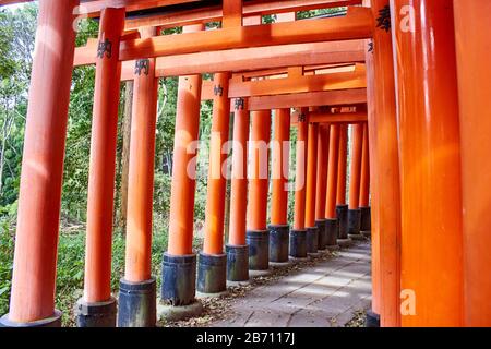 Chemin à travers les portes torii à Kyoto Banque D'Images