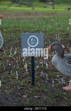 Drôle de lecture de l'oie garder hors de l'herbe signe. Très drôle. Banque D'Images