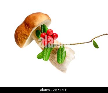 Boletus Eulis champignons et baies isolées sur fond blanc gros plan. Banque D'Images