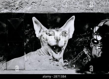 Photographie en noir et blanc - l'art de la rue dans la ville des morts au Caire en Egypte en Afrique du Nord Moyen-Orient Banque D'Images