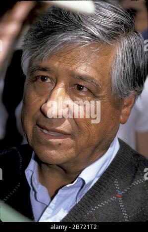 Austin, Texas États-Unis: L'ancien président des travailleurs agricoles Unis, Cesar Chavez, à un rassemblement. ©Bob Daemmrich Banque D'Images