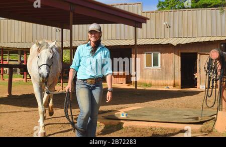 Les chevaux en stabilité sont allés à pied jusqu'au corral par une jeune cow-girl souriante et attrayante à un Ranch Gunstock de 900 acres, île d'Oahu, Laie, Hawaï, États-Unis Banque D'Images