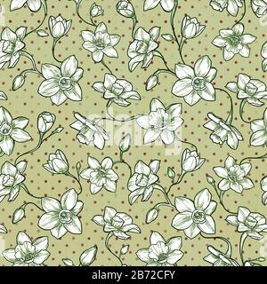 Motif fleuri Narcisse. Conception transparente Banque D'Images