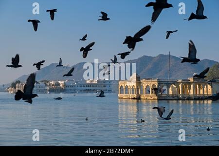 Mohan Mandir Et Lake Palace Lac Pichola Udaipur Rajasthan Inde Banque D'Images