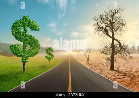Un côté de la route montre l'arbre du dollar vert, et l'autre côté montre la sécheresse, les arbres morts, le sol brisé. Croissance du marché et succès en pleine croissance Banque D'Images