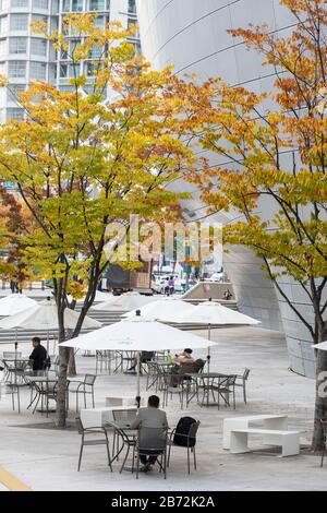 Coin salon à l'extérieur de Dongdaemun Design Plaza, Séoul, Corée du Sud Banque D'Images