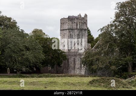 L'abbaye abandonnée de Muckross à Killarney, en Irlande Banque D'Images